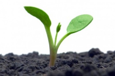 LLC Company Formation in UAE