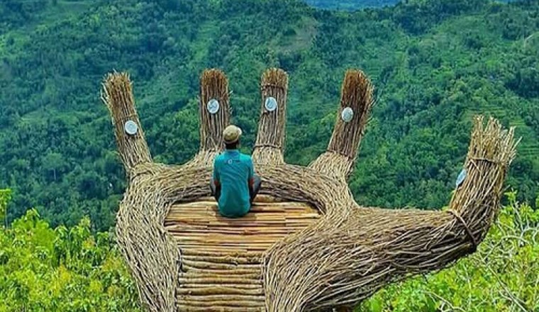 Amazing nature captured on camera