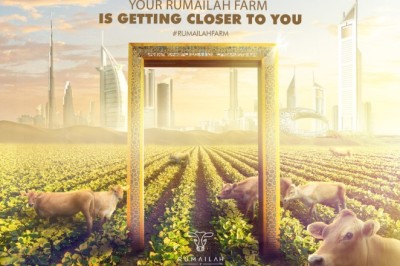 After East Coast Success, Rumailah Farm Set to Expand across UAE