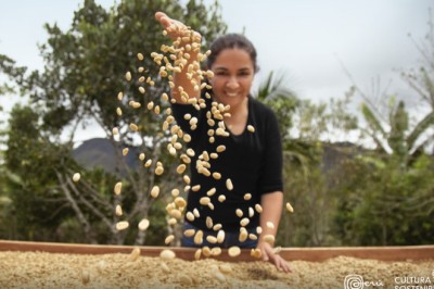 Peru implements Sustainable Culture strategy in the export sector