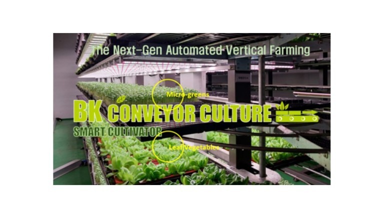 شركة Farmers Lab تقدم BKCC، نظام الزراعة الرأسية المبتكر العملي والمربح والجاهز للاعتماد عالميًا