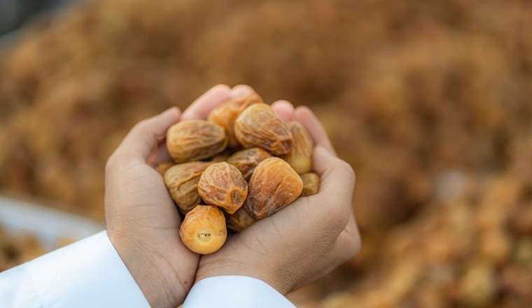 طريق الحرير العربي: منصة عالمية لتعزيز الاستهلاك والإنتاج المسؤول