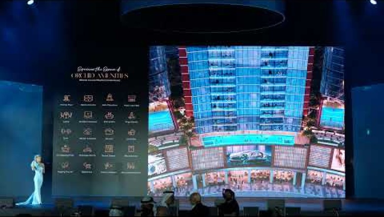 Tiger downtown Ajman First class paradise Tiger property Tiger holding