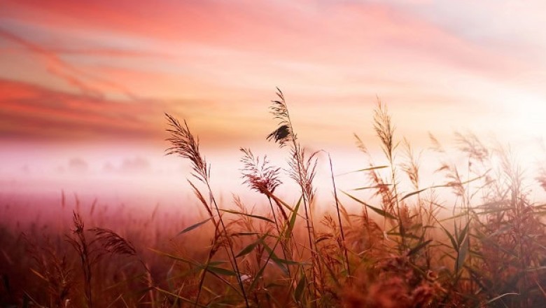 How to Brighten Your Morning (and Whole Day): 7 Powerful Habits